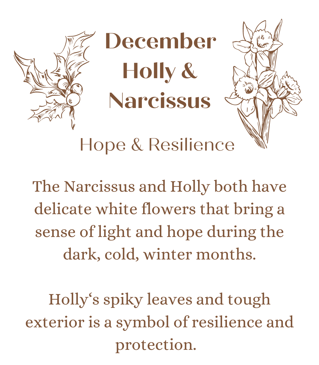 December Birth Month Flower in Ostara