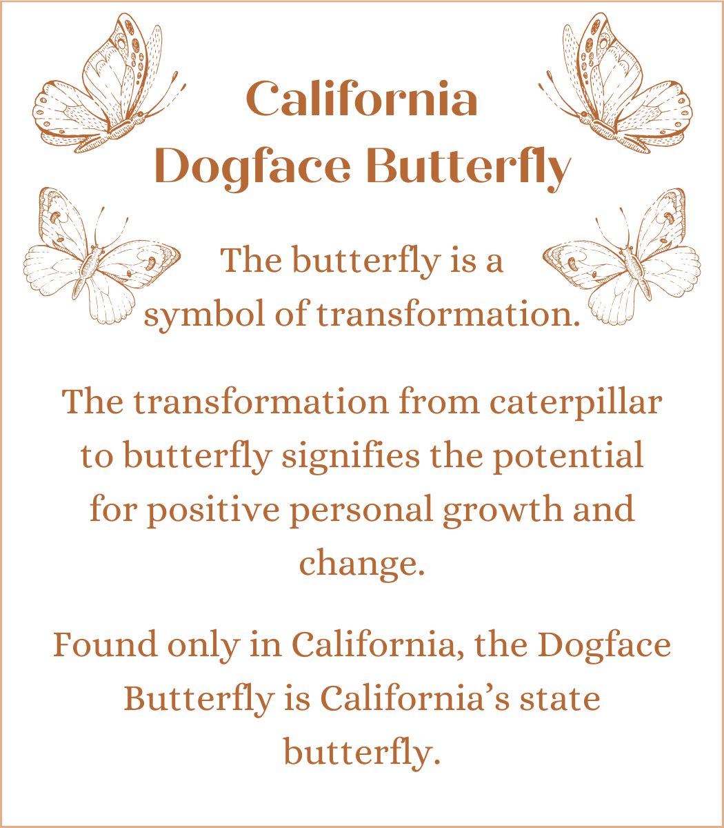 California Dogface Butterfly in Gaia