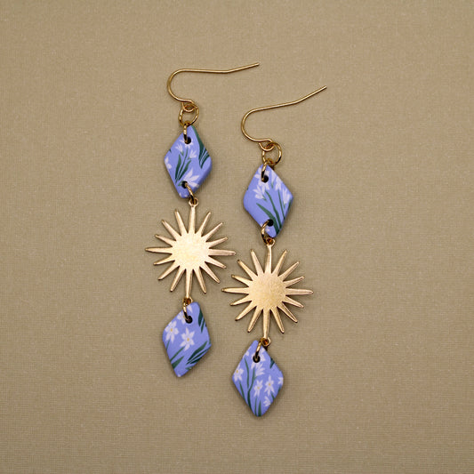 December Birth Month Flower in Sol