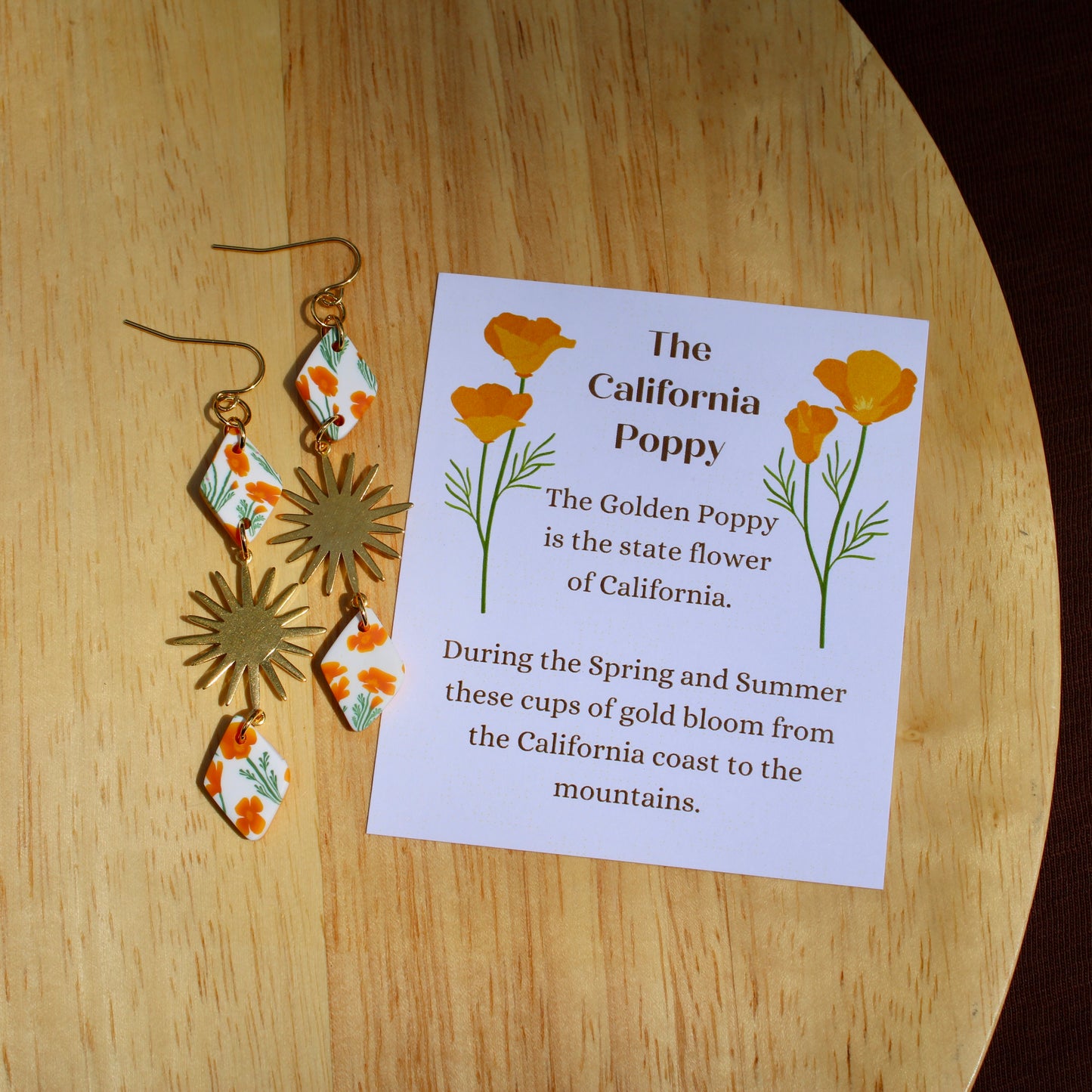 California Poppy in Sol