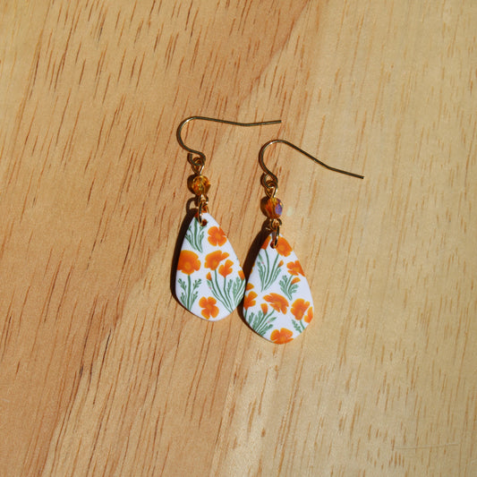 California Poppy in Rhea