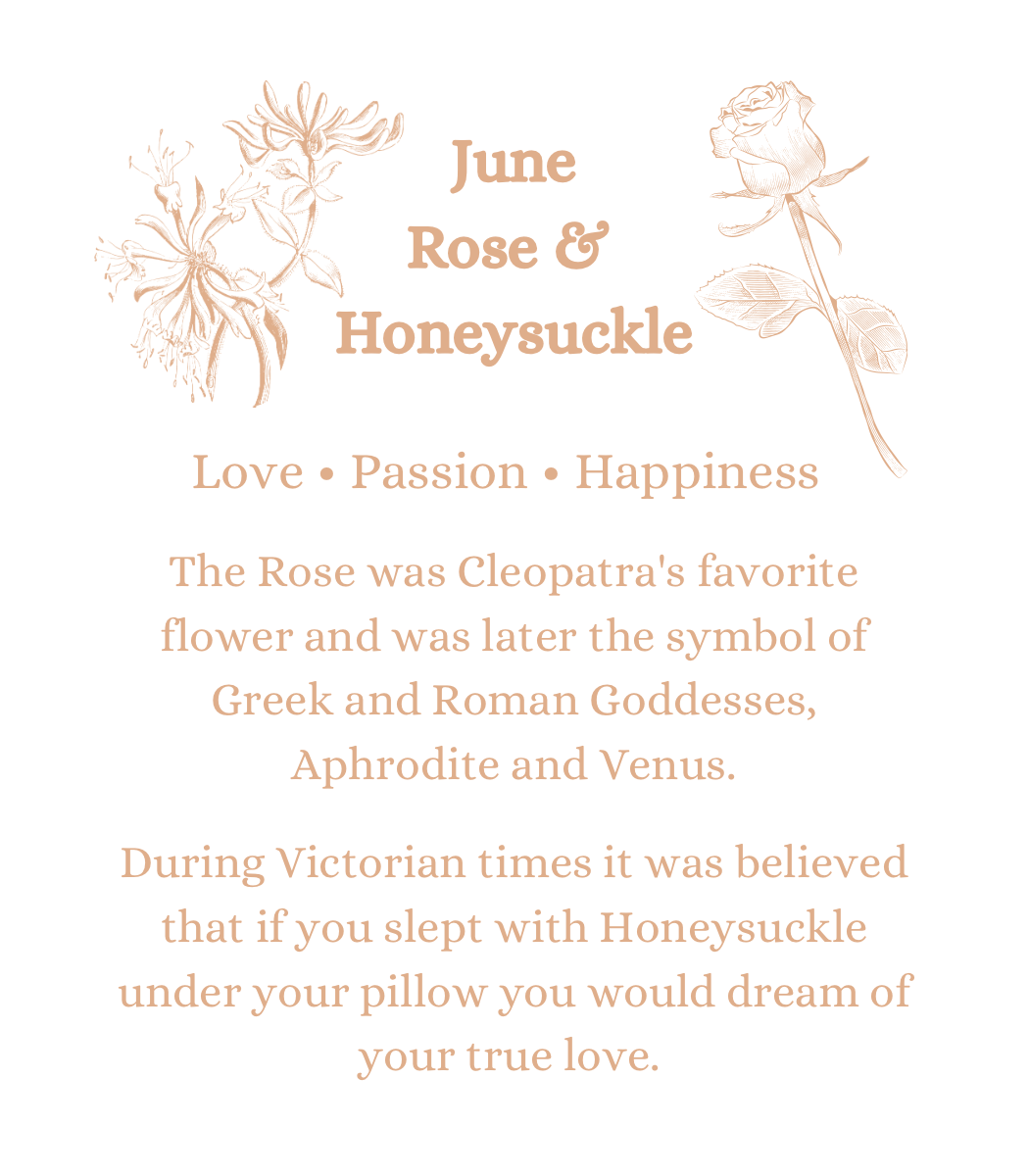 June Birth Month Flower in Freya