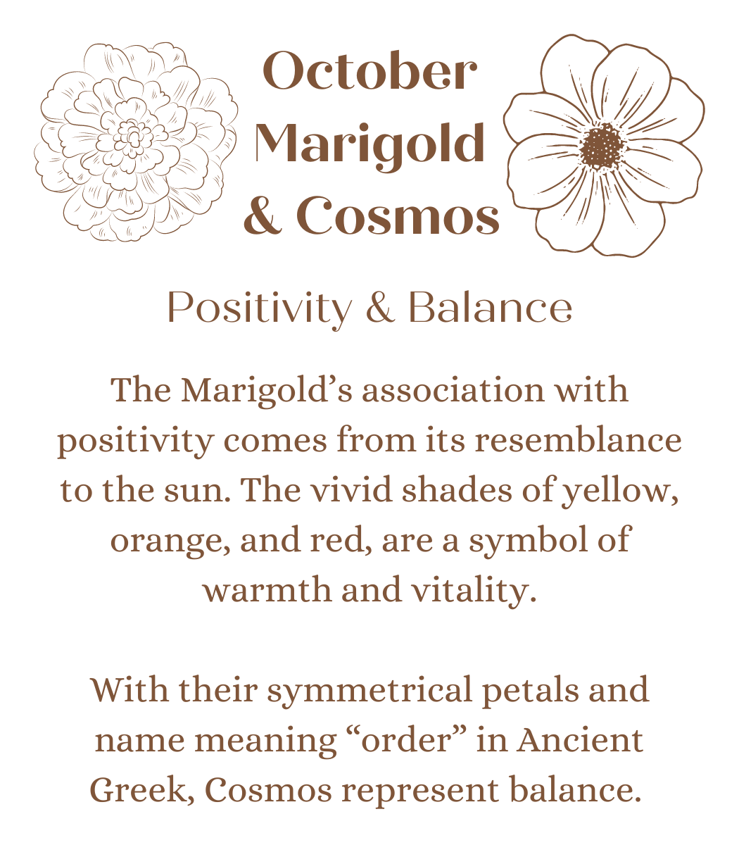 October Birth Month Flower in Flora