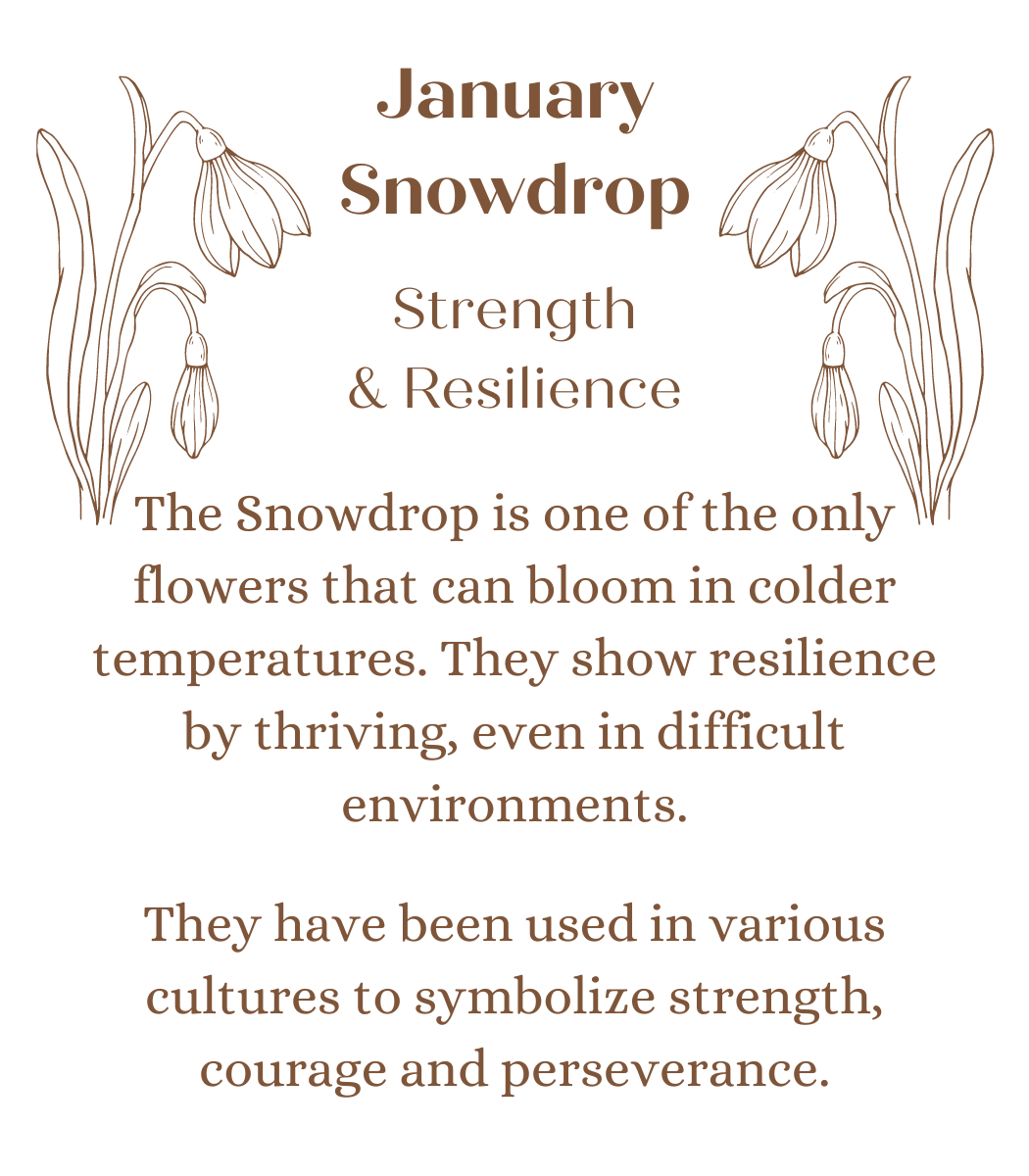January Birth Month Flower in Rhea