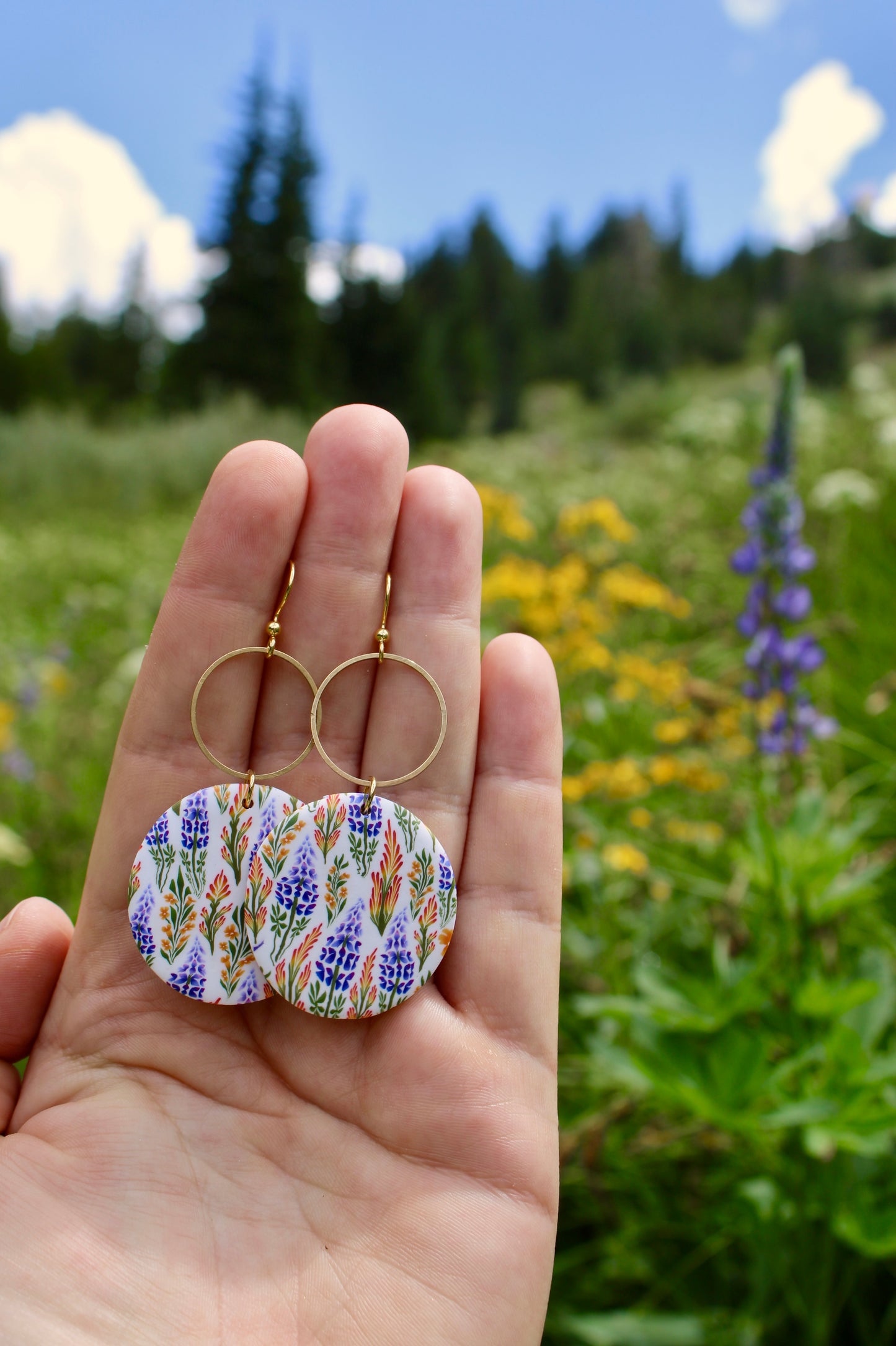 West Coast Wildflowers in Gaia