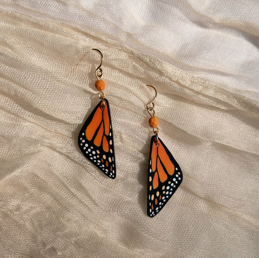 Monarch Butterfly in Rhea