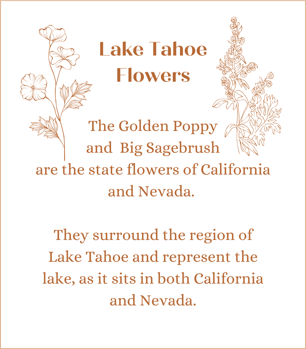 Lake Tahoe Flowers in Luna
