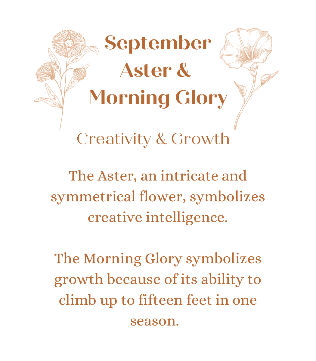 September Birth Flowers in Luna