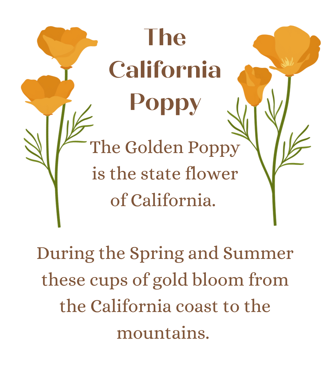 California Poppy Necklace