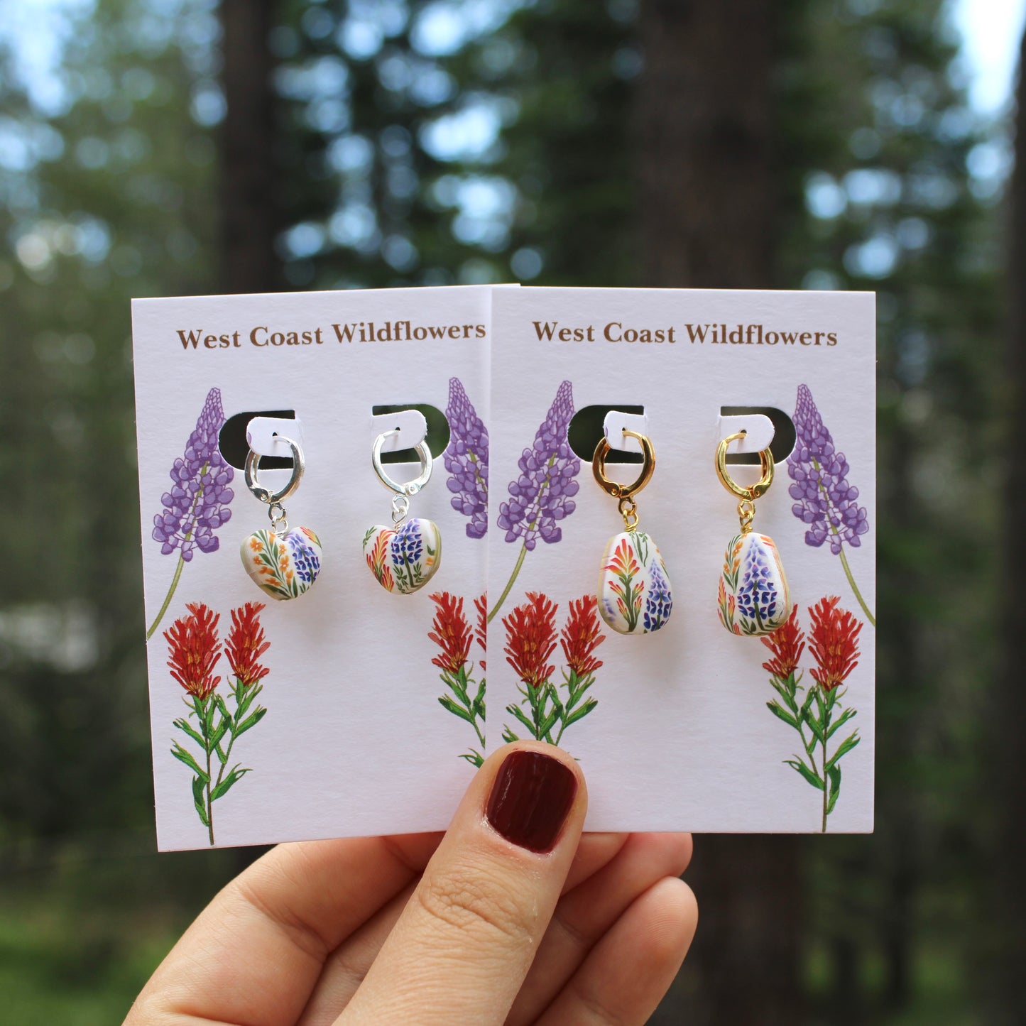 West Coast Wildflowers in Freya