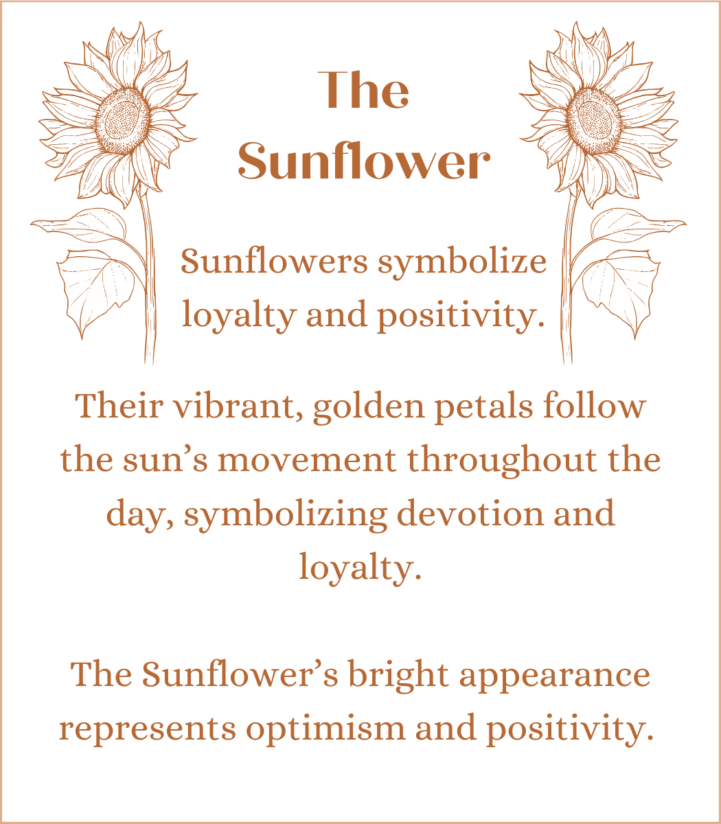 Sunflower in Rhea