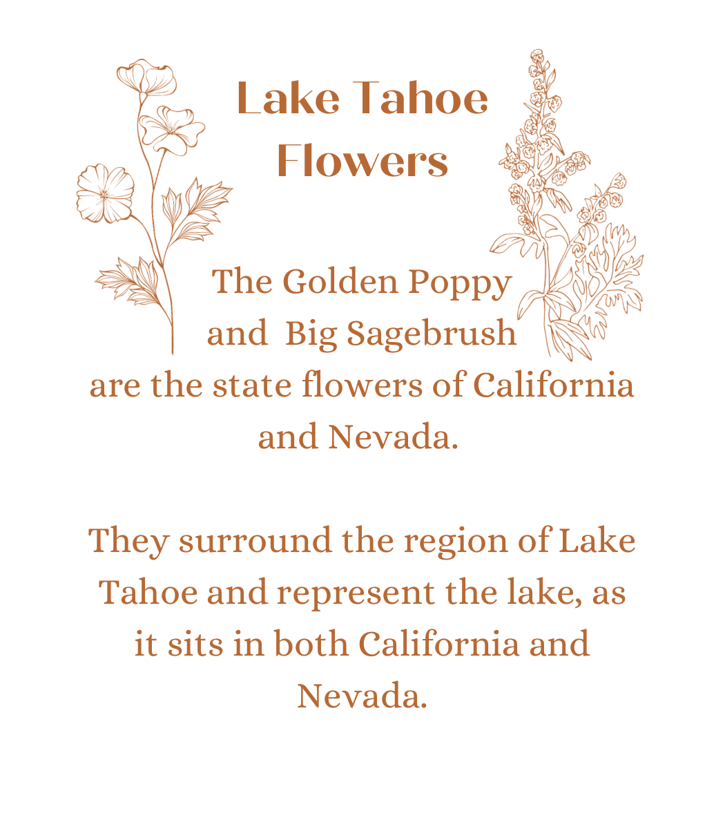 Lake Tahoe Flowers in Theia Gold