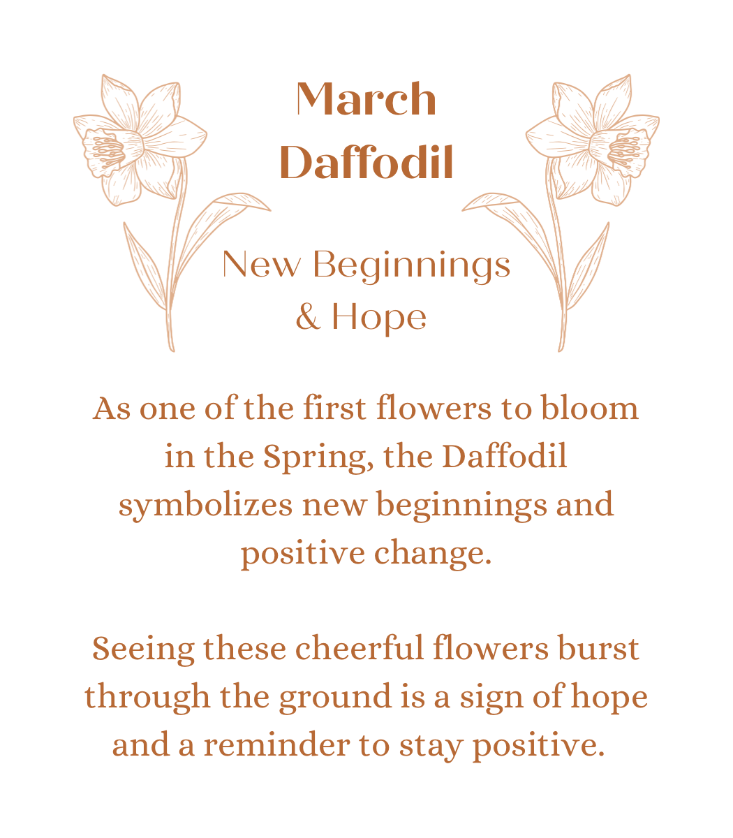 March Daffodils in Ostara