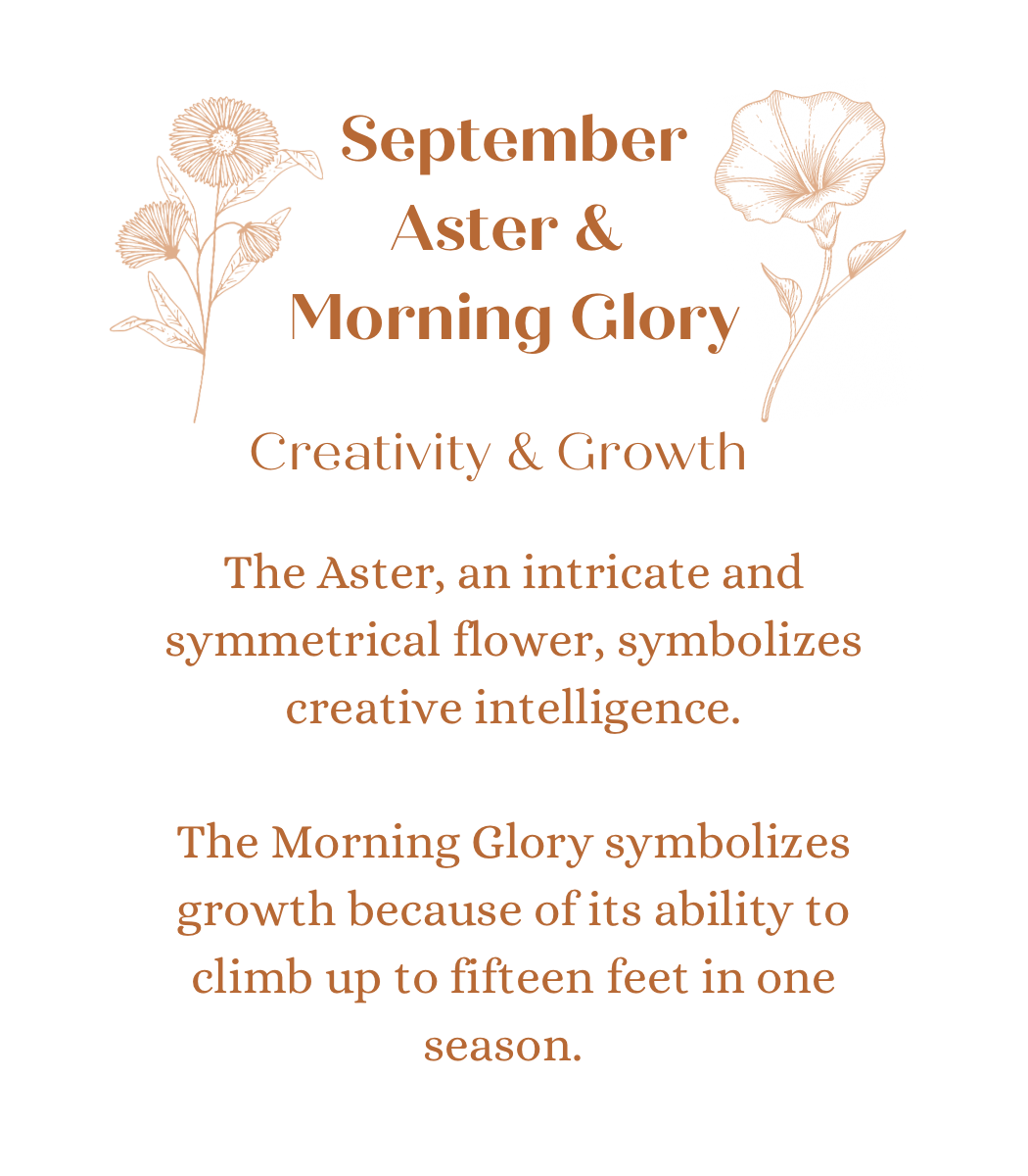 September Birth Flowers in Flora