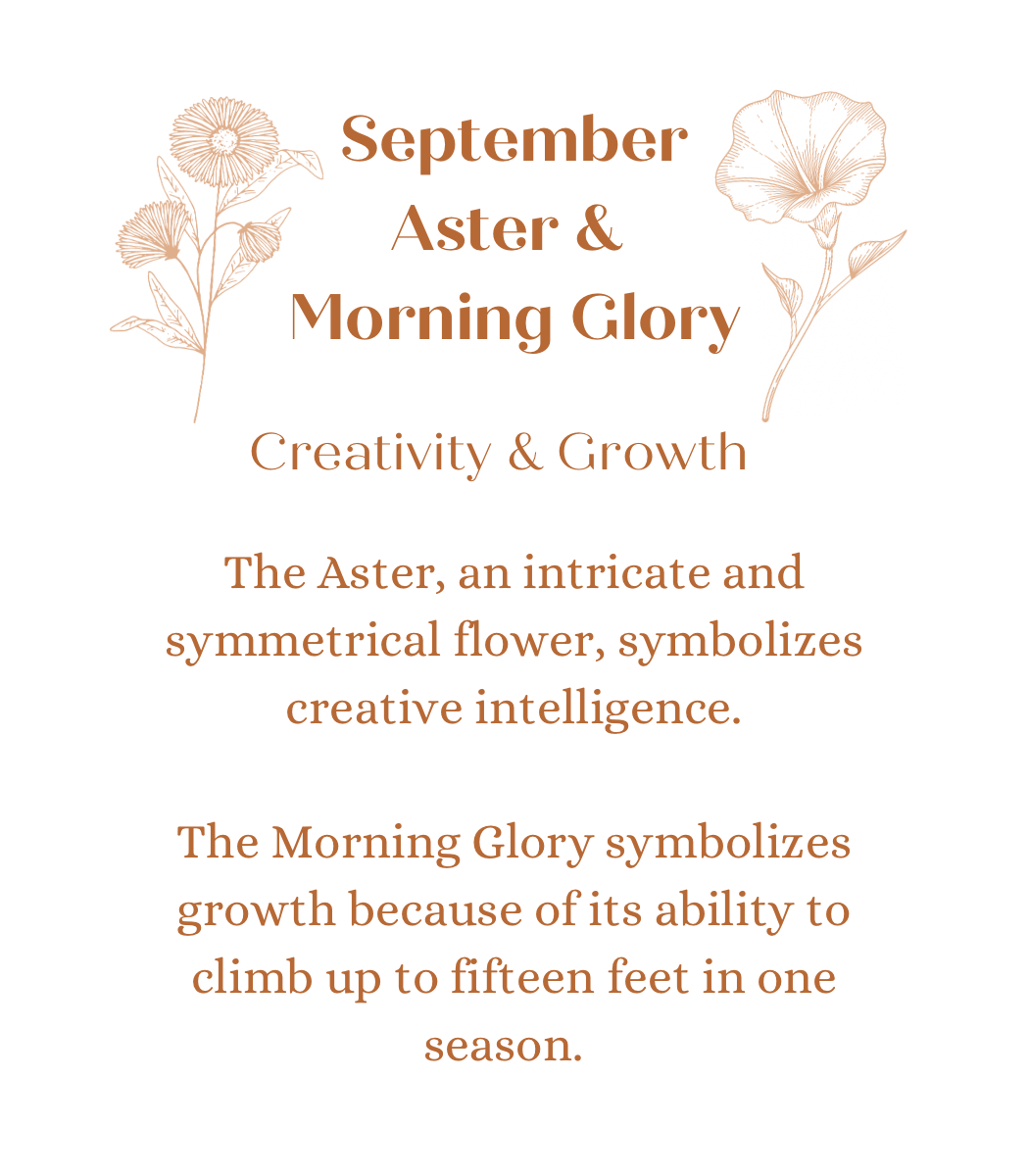 September Birth Flowers in Gaia