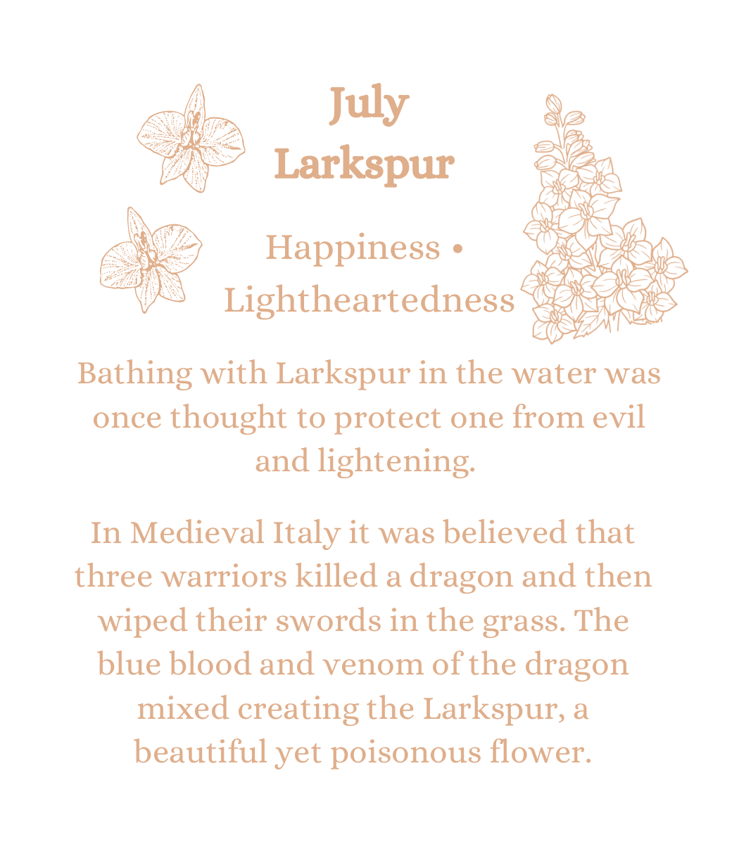 July Larkspurs in Sol