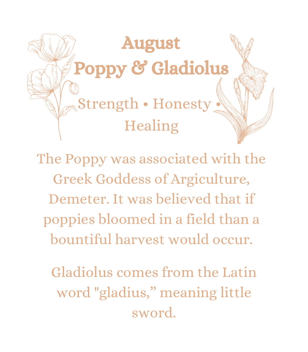 August Birth Flowers in Ostara